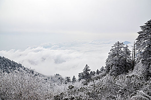 成都西岭雪山美丽雪景