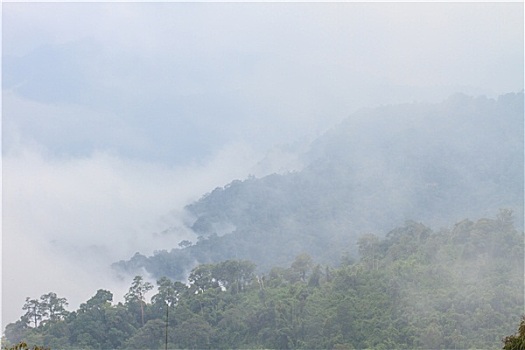 雾,云,山谷,风景