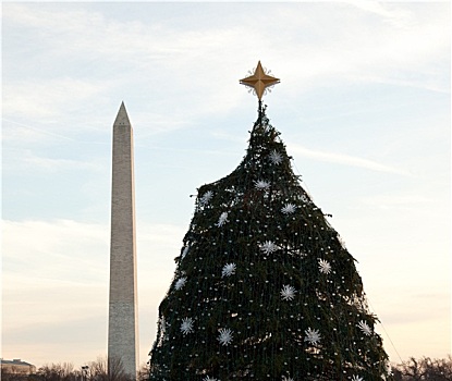 国家,圣诞树,华盛顿特区