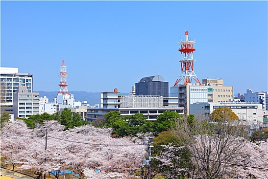 和歌山,城市