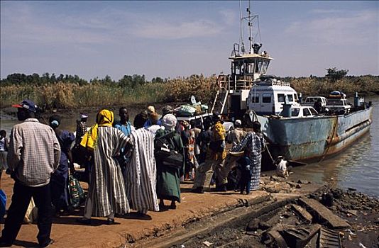 队列,渡轮,桥,穿过,冈比亚,河,道路,相对,堤岸,修长,环绕,塞内加尔