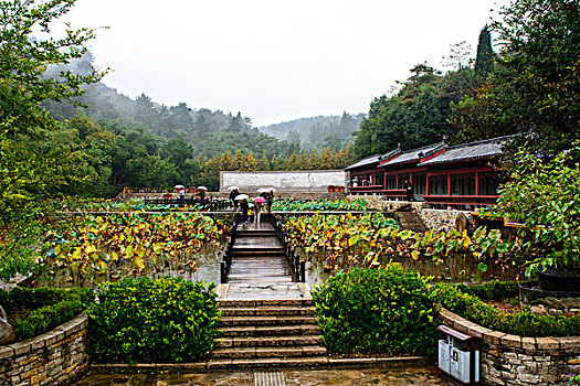 许世友故里纪念馆荷花园