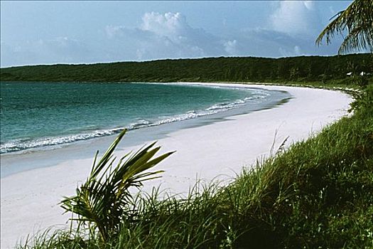 景色,海滩,胜地,自由岛,巴哈马