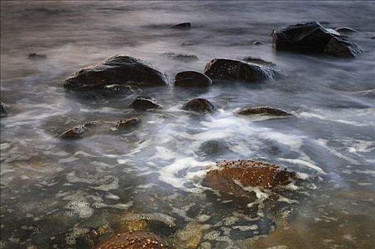 石头,海洋