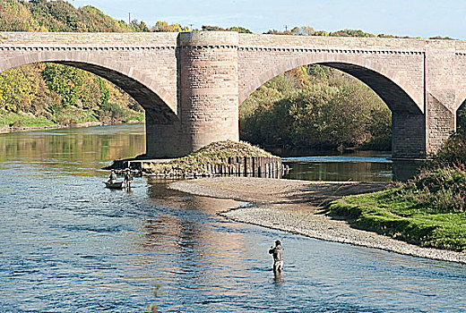 钓鱼,男人,桥,苏格兰