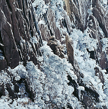 安徽黄山西海崖山雪景