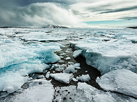 浮冰,流动,冰,峡湾,斯匹次卑尔根岛,岛屿,斯瓦尔巴群岛,斯瓦尔巴特群岛,挪威,欧洲
