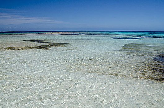 伯利兹,兰花,小,私人岛屿,加勒比海,屏障,礁石