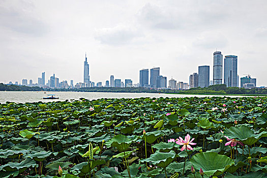 南京城市风光