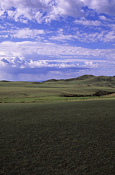 蒙古,戈壁沙漠,靠近,草地,草原,风景