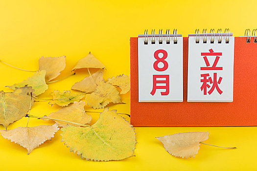 日历和树叶,二十四节气立秋节气图片