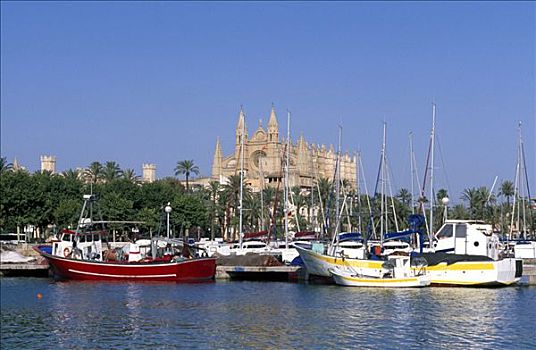 航行快艇,港口,正面,大教堂,帕尔马,巴利阿里群岛,西班牙,欧洲
