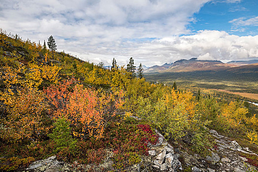 风景,山,国家公园,秋天,植被,北博滕省,拉普兰,瑞典,欧洲