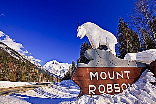 石山羊,雕塑,标识,罗布森山省立公园,公路,罗布森山,脚,不列颠哥伦比亚省,加拿大
