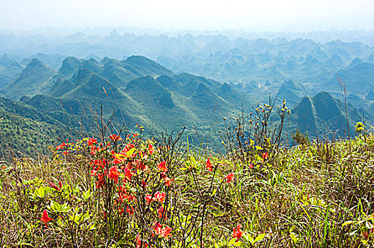 山岭春色