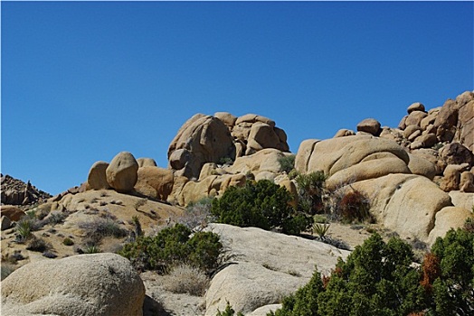 绿色,石头,约书亚树国家公园,加利福尼亚