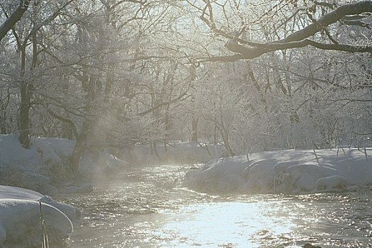 河,冬天