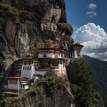 寺院,虎穴寺,不丹