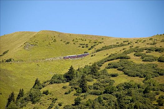 列车,轨道,勃朗峰,险峻,上坡,上萨瓦,法国