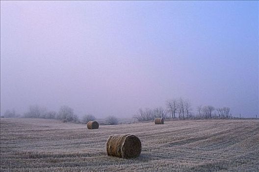 干草包,艾伯塔省,加拿大