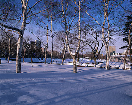 公园,桥,冬天