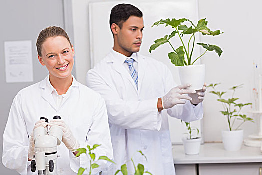 科学家,看镜头,微笑,同事,看,植物