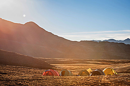 帐篷,山地,风景,格陵兰,北美