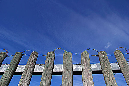 木篱,刺铁丝网,蓝天