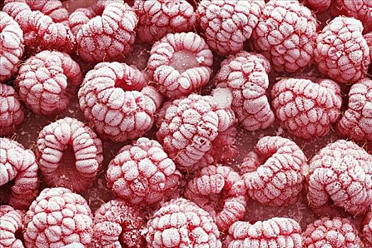 冰冻,树莓,全画幅
