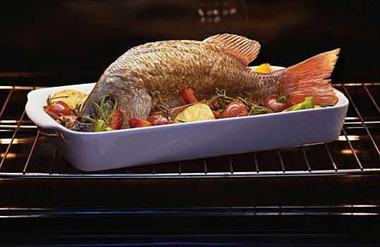 红鲷鱼,烤炉