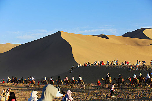 鸣沙山驼队