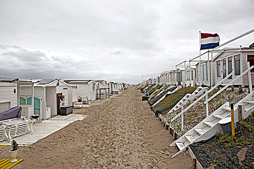 海滩,荷兰,冬天