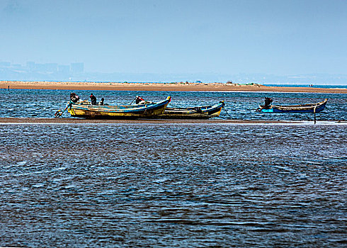 沙滩,海鸟,渔船