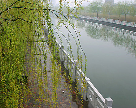 护校河,小河,绿化