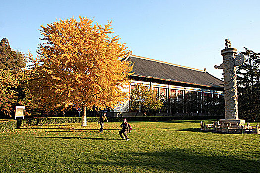 北京大学秋色