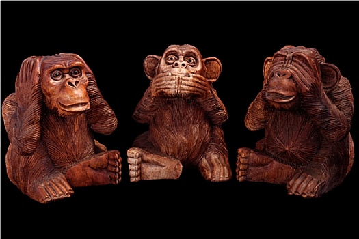 三个,智慧,猴子