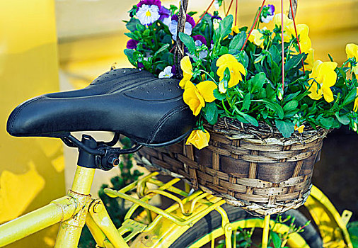 黄色,自行车,装饰,花