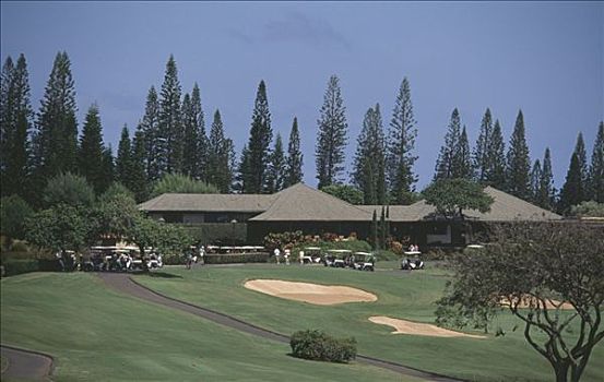 高尔夫球场,美国,夏威夷,毛伊岛