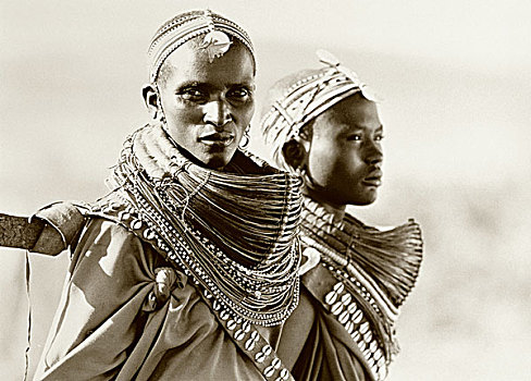 头像,两个,马萨伊,女人,坦桑尼亚