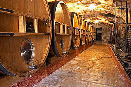 桶,葡萄酒,陈酿,地窖,城堡,法国