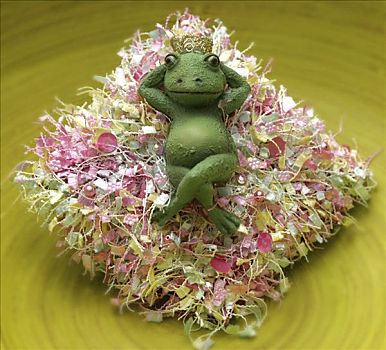 青蛙,王子,花,枕头