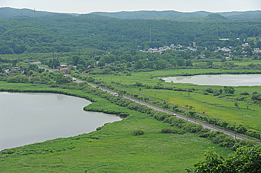 斑点,钏路,湿地,釧路,北海道,日本