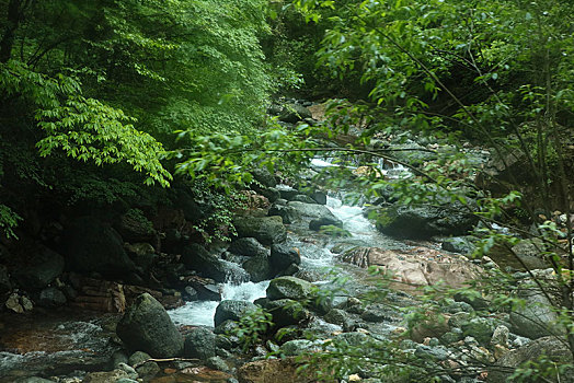 神农架,官门山,风景,景点,旅游,高山,瀑布,河流,神秘,树木,植被,野人,动物,标本,展览,雕塑,蜂箱,养蜂,蜜蜂