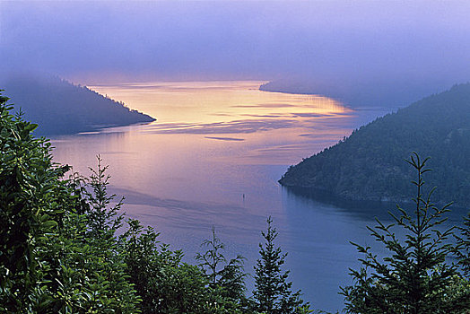 雾,上方,河,手臂,半岛,温哥华岛,不列颠哥伦比亚省,加拿大