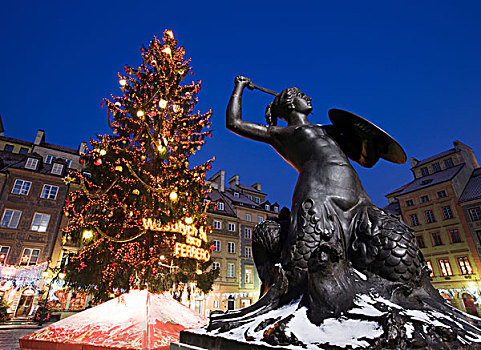 雕塑,圣诞树,市场,广场,华沙,波兰,欧洲