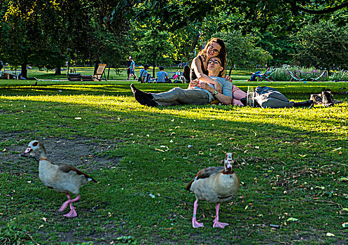 年轻,情侣,放松,草地,圣詹姆斯公园,微笑,两只,鹅,正面