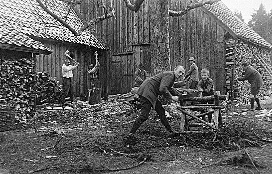 农业,男人,切,木头,20世纪30年代,精准,地点,未知,德国,欧洲
