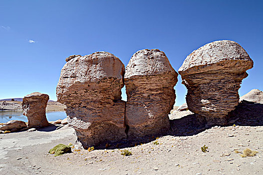蘑菇,石头,岩石构造,风,腐蚀,乌尤尼盐沼,玻利维亚,南美