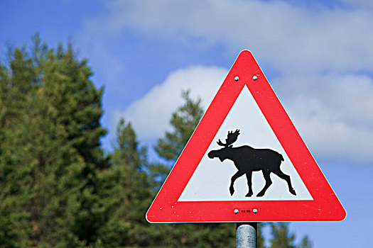 驼鹿,警告标识,挪威,斯堪的纳维亚,欧洲