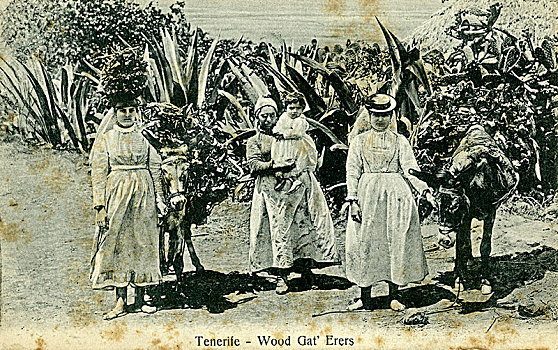 木头,特内里费岛,加纳利群岛,早,20世纪,艺术家,未知